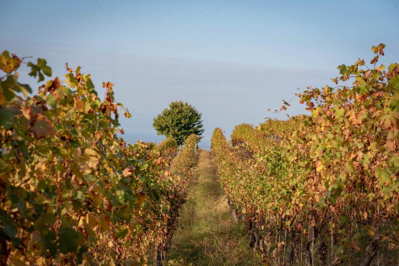 Agriturismo San Martino Clavesana Eksteriør bilde