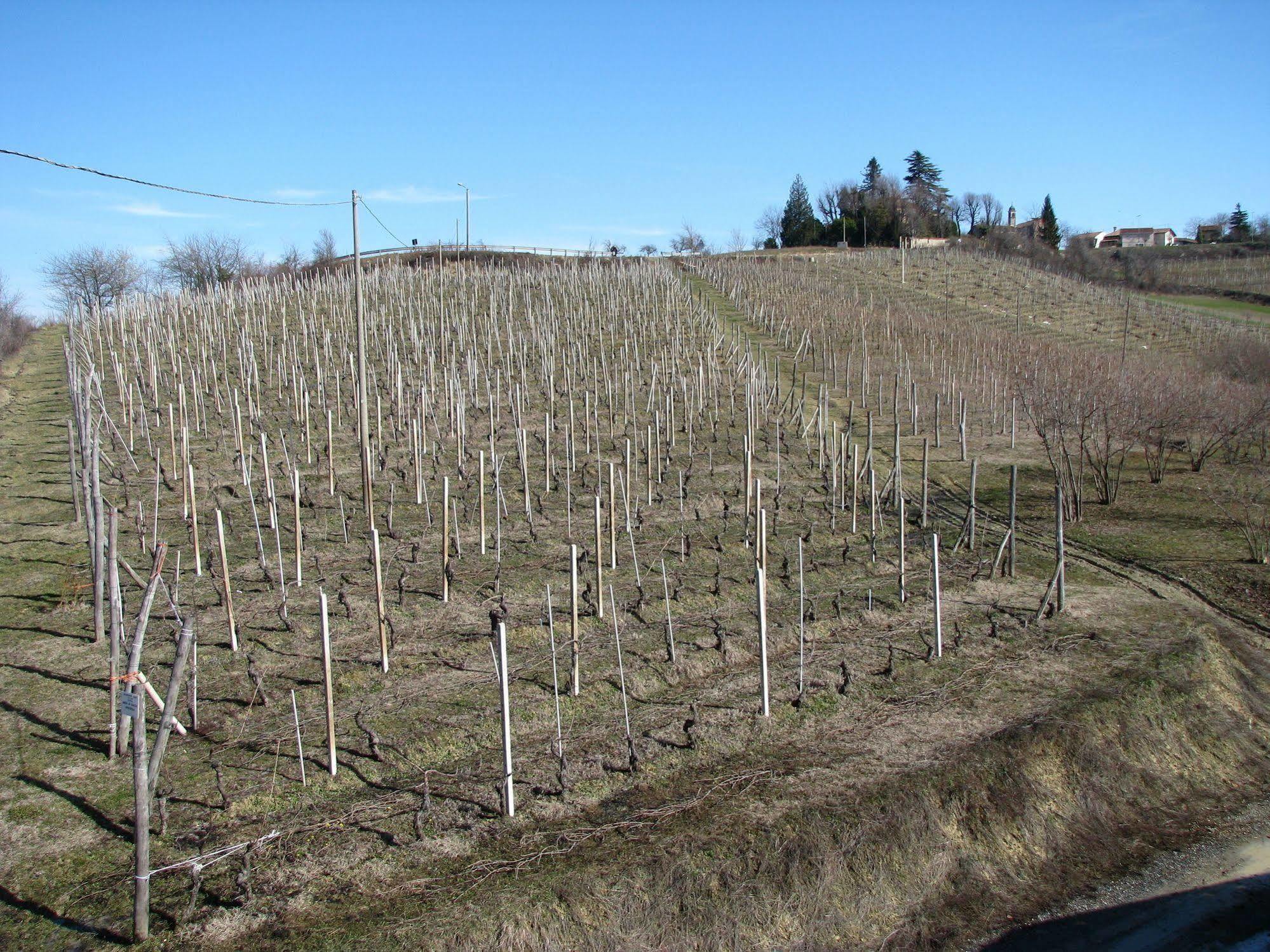 Agriturismo San Martino Clavesana Eksteriør bilde